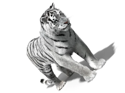 Animated Siberian White Tiger - Hair and Fur 3D Model