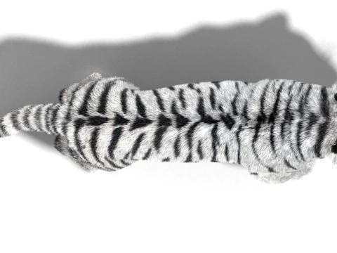 Animated Siberian White Tiger - Hair and Fur 3D Model