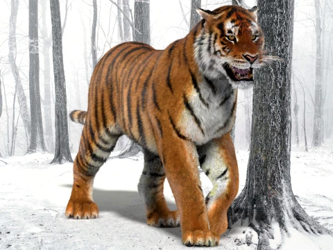 Animated Amur Tiger - Hair and Fur 3D Model