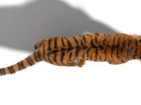Animated Amur Tiger - Hair and Fur 3D Model