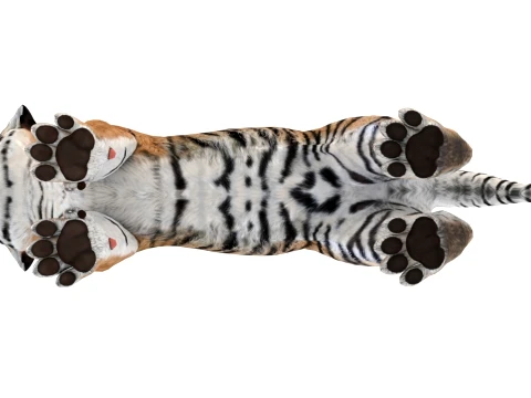 Game-Ready Tiger Cub 3D Model