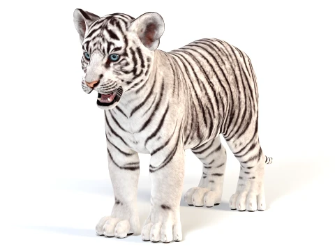 White Tiger Cub - Game Ready 3D Model
