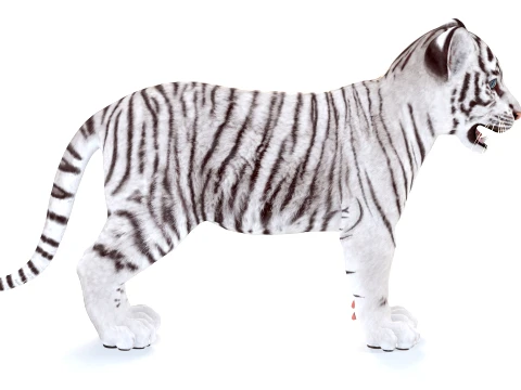 White Tiger Cub - Game Ready 3D Model
