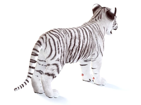 White Tiger Cub - Game Ready 3D Model
