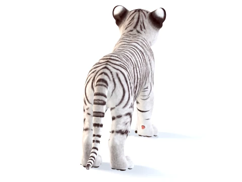 White Tiger Cub - Game Ready 3D Model
