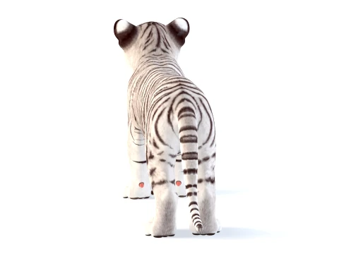 White Tiger Cub - Game Ready 3D Model