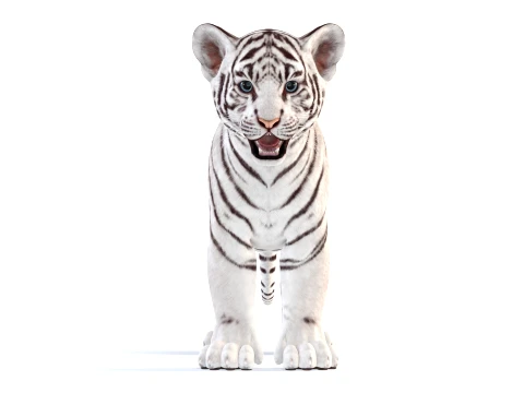 White Tiger Cub - Game Ready 3D Model