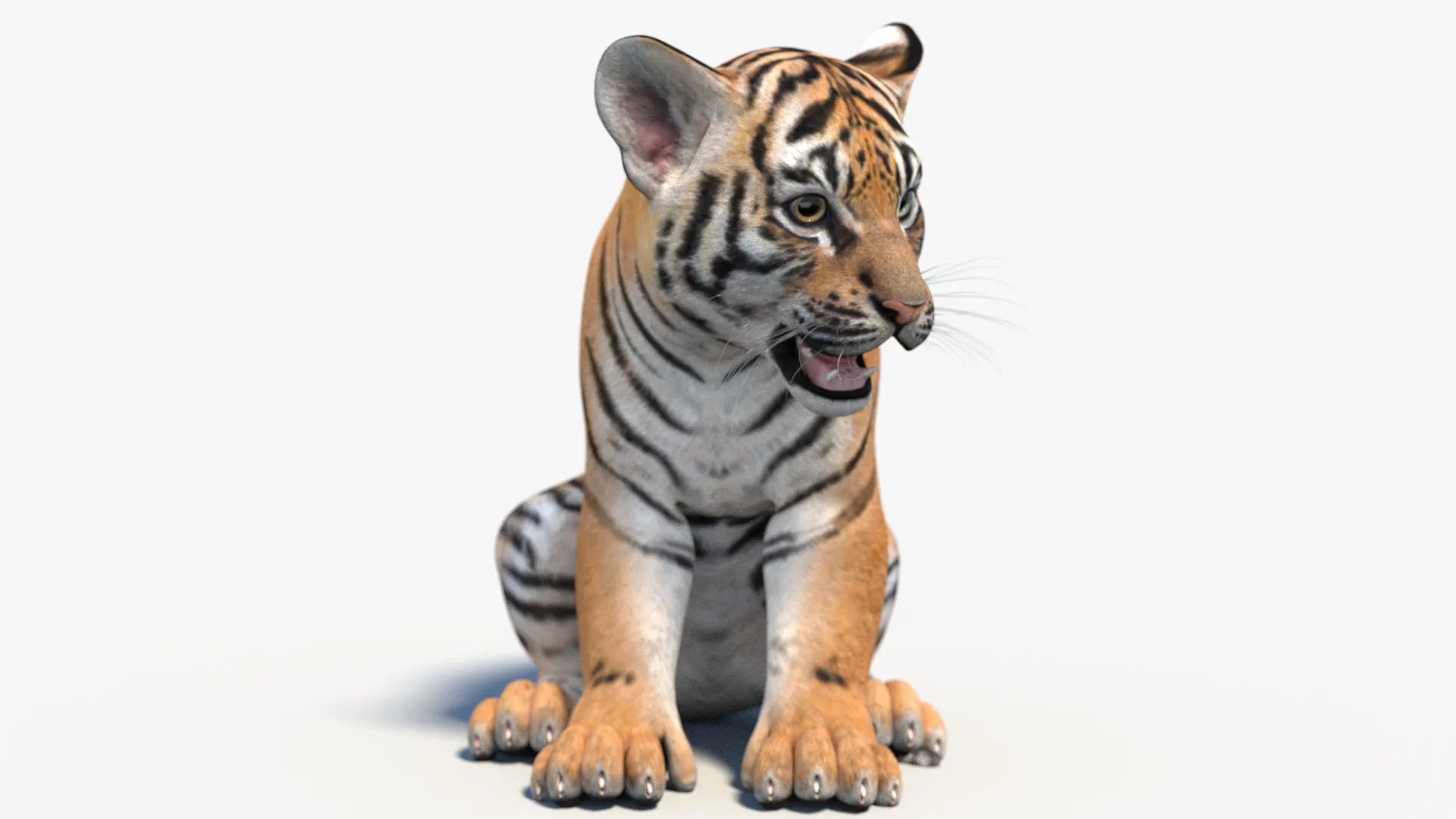 Rigged Tiger Cub - Game-Ready 3D Model .c4d .max .obj .3ds .fbx .stl .blend 