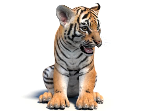 Rigged Tiger Cub - Game-Ready 3D Model