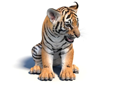 Rigged Tiger Cub - Game-Ready 3D Model