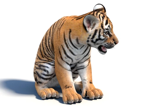 Rigged Tiger Cub - Game-Ready 3D Model