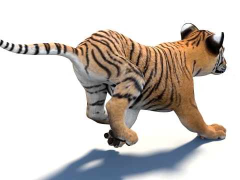 Rigged Tiger Cub - Game-Ready 3D Model