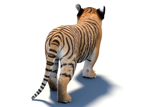Rigged Tiger Cub - Game-Ready 3D Model