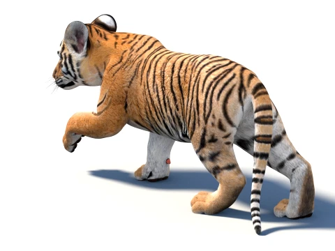 Rigged Tiger Cub - Game-Ready 3D Model