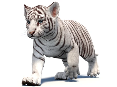 Rigged White Tiger Cub - Game-Ready 3D Model