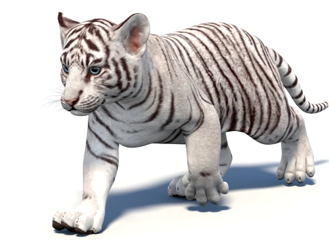 Rigged White Tiger Cub - Game-Ready 3D Model