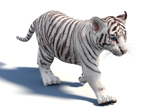 Rigged White Tiger Cub - Game-Ready 3D Model