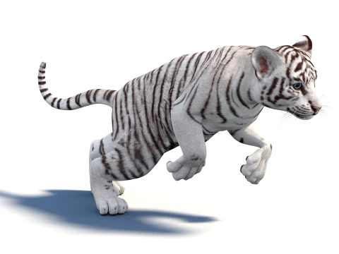 Rigged White Tiger Cub - Game-Ready 3D Model