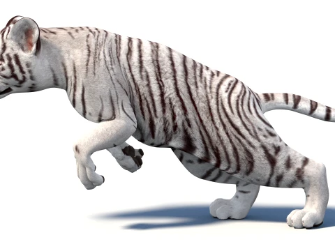 Rigged White Tiger Cub - Game-Ready 3D Model