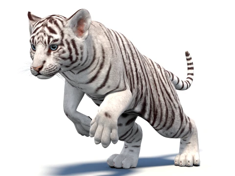 Rigged White Tiger Cub - Game-Ready 3D Model