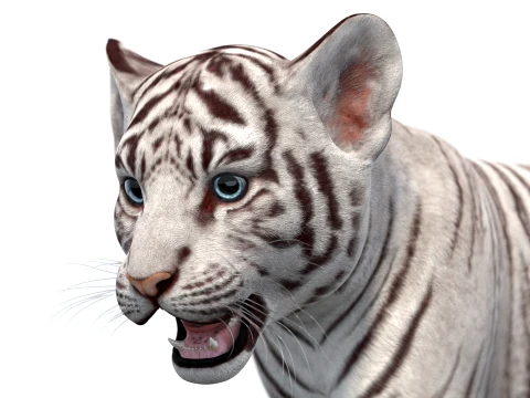 Rigged White Tiger Cub - Game-Ready 3D Model