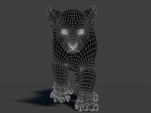 Rigged White Tiger Cub - Game-Ready 3D Model