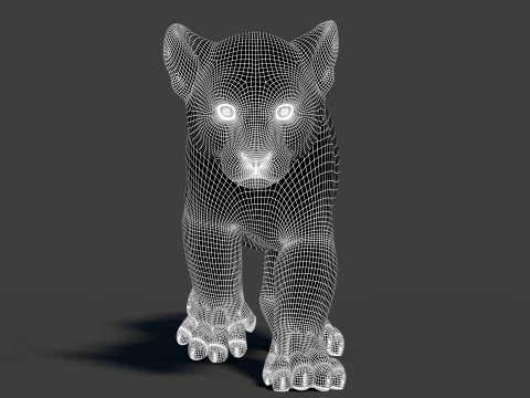 Rigged White Tiger Cub - Game-Ready 3D Model