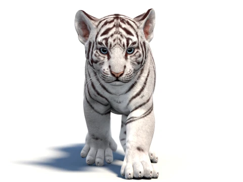 Animated White Tiger Cub - Game-Ready 3D Model