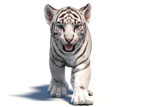 Animated White Tiger Cub - Game-Ready 3D Model