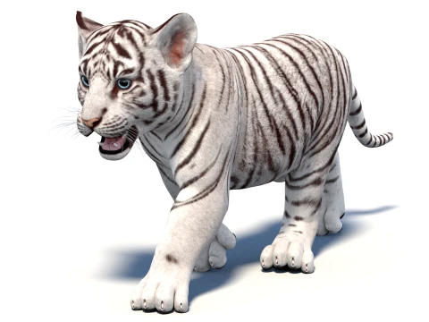Animated White Tiger Cub - Game-Ready 3D Model