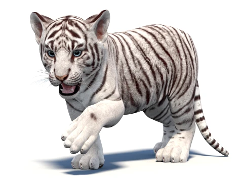 Animated White Tiger Cub - Game-Ready 3D Model