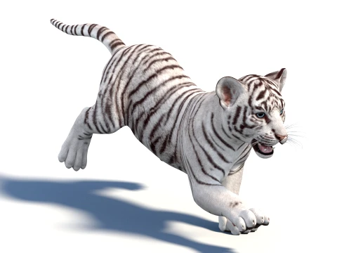 Animated White Tiger Cub - Game-Ready 3D Model