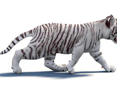 Animated White Tiger Cub - Game-Ready 3D Model