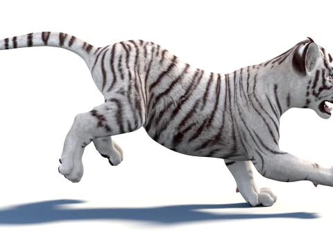 Animated White Tiger Cub - Game-Ready 3D Model