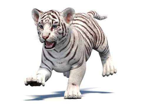 Animated White Tiger Cub - Game-Ready 3D Model