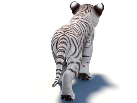 Animated White Tiger Cub - Game-Ready 3D Model