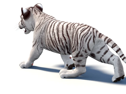 Animated White Tiger Cub - Game-Ready 3D Model