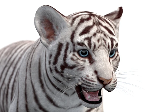 Animated White Tiger Cub - Game-Ready 3D Model