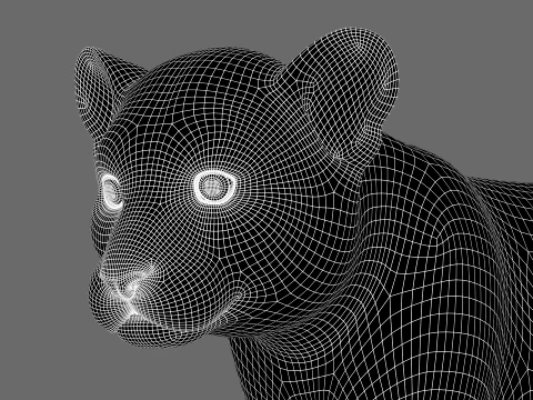 Animated White Tiger Cub - Game-Ready 3D Model