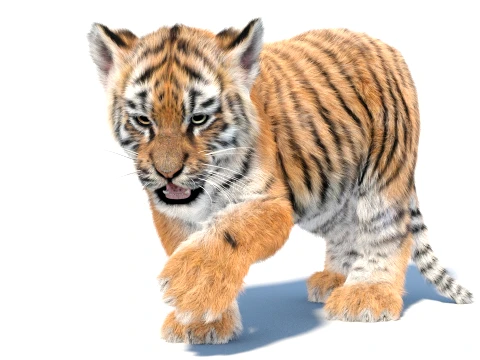 Rigged Tiger Cub - Hair and Fur 3D Model