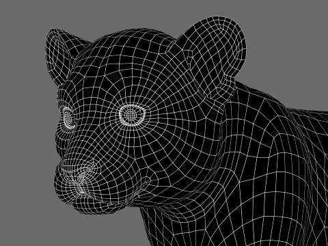 Animated Tiger Cub - Hair and Fur 3D Model