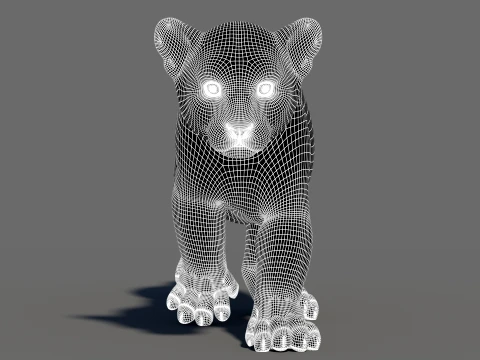 Animated Tiger Cub Bundle Natural and White 3D Model