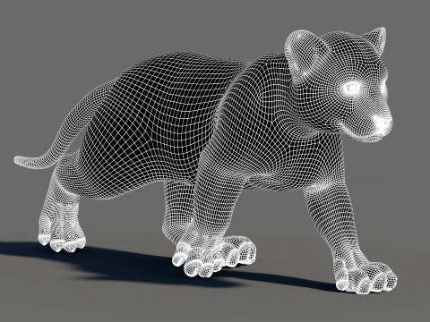 Animated Tiger Cub Bundle Natural and White 3D Model