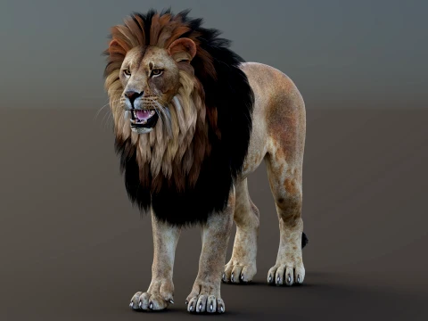 Game-Ready Lion PBR 3D Model