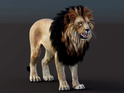 Game-Ready Lion PBR 3D Model