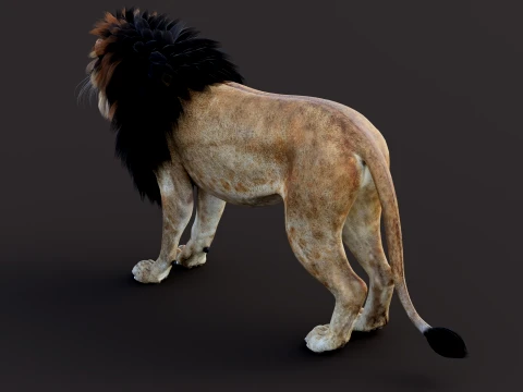 Game-Ready Lion PBR 3D Model