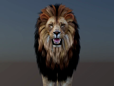 Game-Ready Lion PBR 3D Model