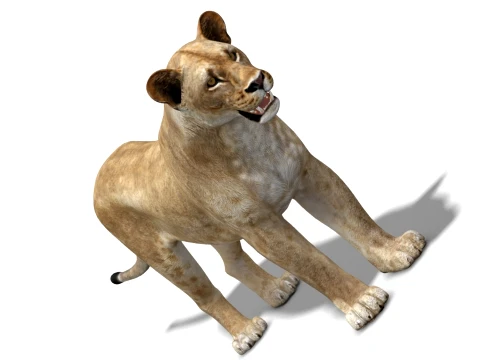 Lioness - Low Poly 3D Model
