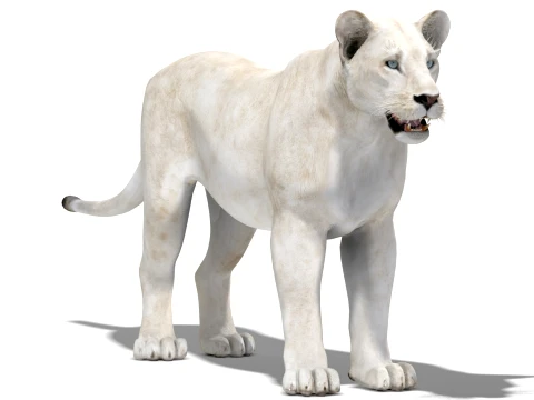 White Lioness - Low-Poly 3D Model