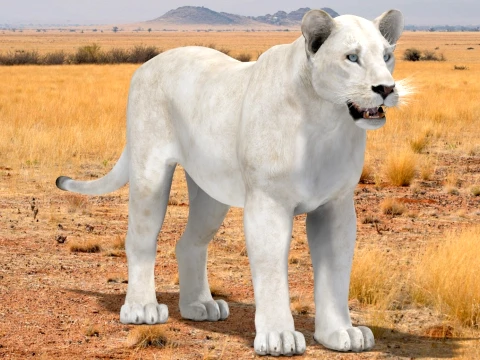 White Lioness - Low-Poly 3D Model